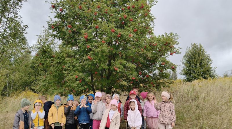 Grupa Świętokrzyskich Nutek pod jarzębiną