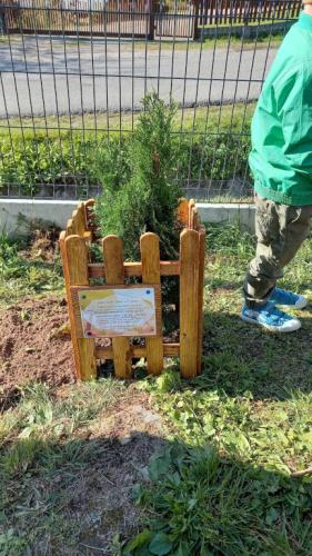 2023/2024 10 Października Dzień Drzewa