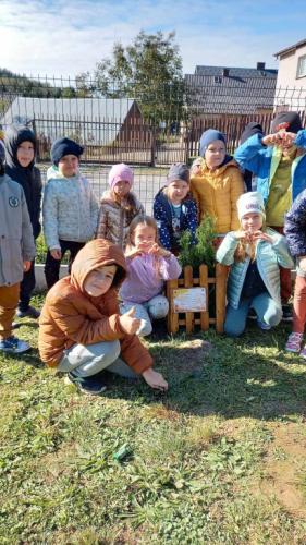 2023/2024 10 Października Dzień Drzewa