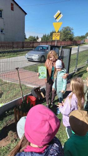 2023/2024 10 Października Dzień Drzewa