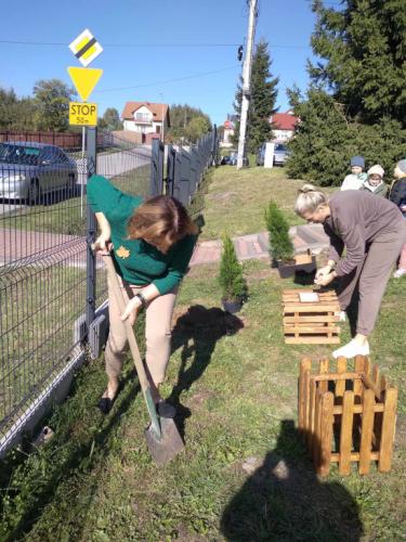 2023/2024 10 Października Dzień Drzewa