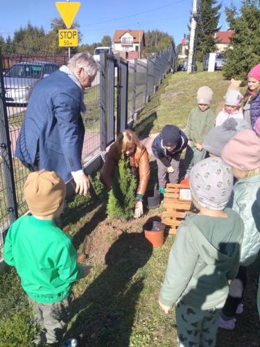 2023/2024 10 Października Dzień Drzewa