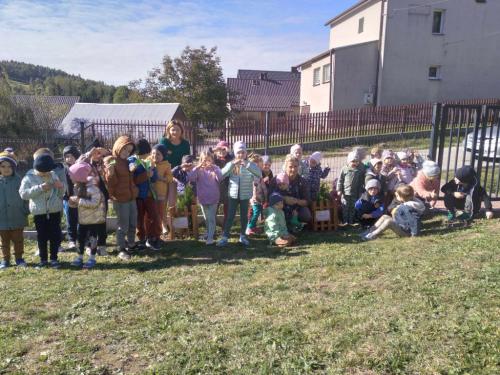 2023/2024 10 Października Dzień Drzewa