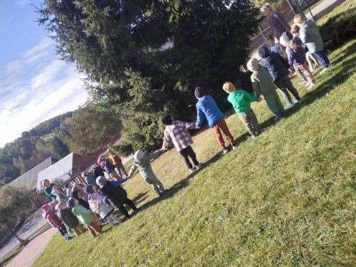 2023/2024 10 Października Dzień Drzewa