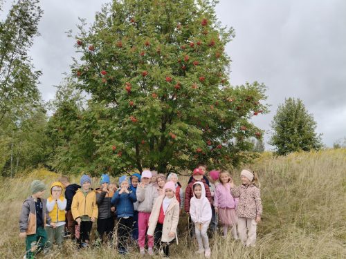 2026/2027 Jesienny spacer Świętokrzyskich Nutek