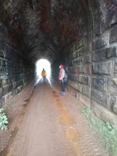 2023/2024 Dzień krajobrazu