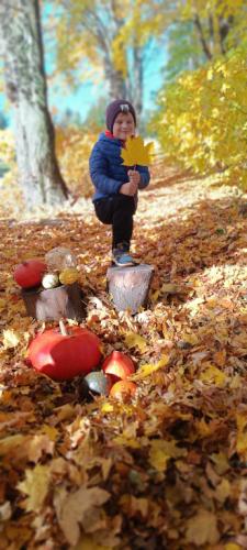 2024/2025 Jesienna sesja zdjęciowa