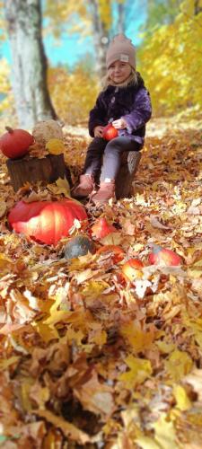 2024/2025 Jesienna sesja zdjęciowa