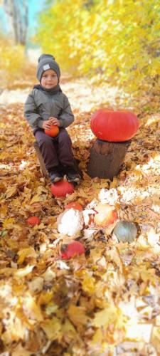 2024/2025 Jesienna sesja zdjęciowa