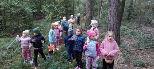 dzieci z grupy w szkolnej na spacerze w lesie