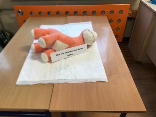 2024/2025 Klinika dla Pluszaków