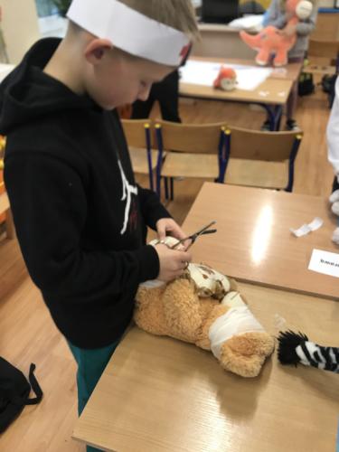 2024/2025 Klinika dla Pluszaków