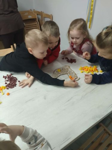 2025/2026 Kurki z tekturki