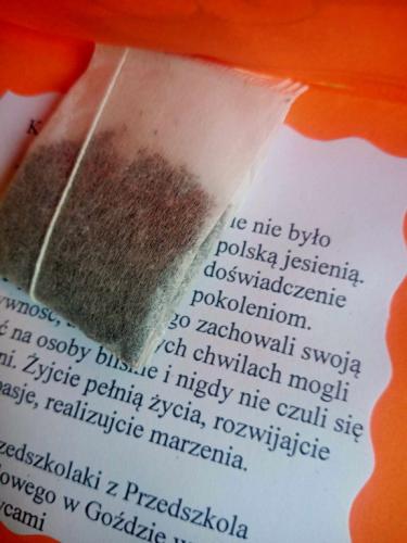 2023/2024 Laurka dla Seniora