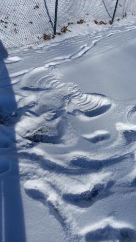 2023/2024 My się zimy nie boimy