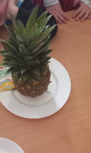 2024/2025 Owocowy czwartek