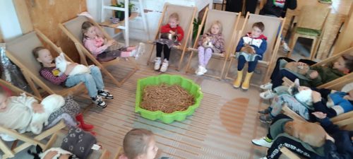 na zdjęciu grupa dzieci podczas królikoterapii 