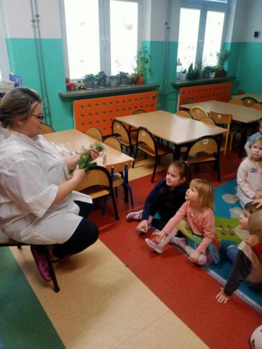 2023/2024 Piramida zdrowia