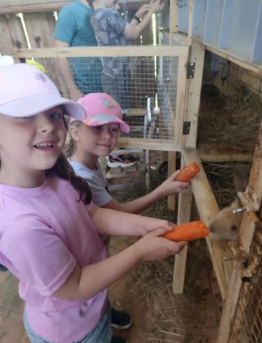 Basia i Lena karmią króliki 