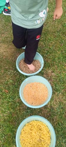 2023/2024 Ścieżka sensoryczna