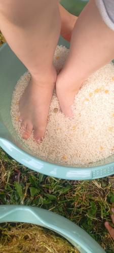 2023/2024 Ścieżka sensoryczna