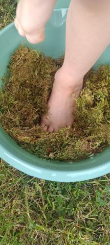 2023/2024 Ścieżka sensoryczna