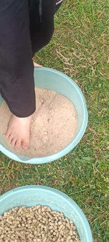 2023/2024 Ścieżka sensoryczna