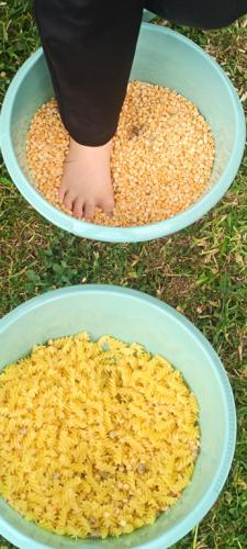 2023/2024 Ścieżka sensoryczna