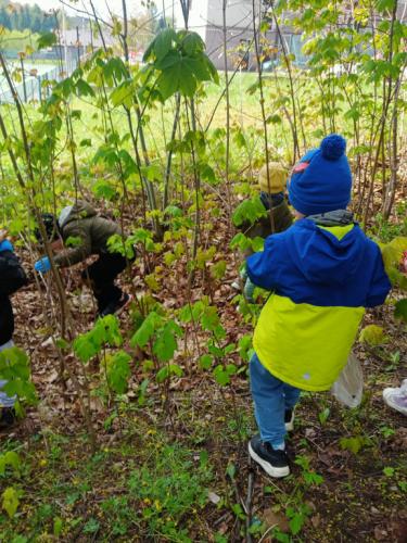 2023/2024 Sprzątamy