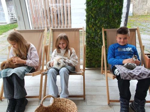 Lagoterapia, zajęcia warsztatowe  Przytul królika. Kl. 3