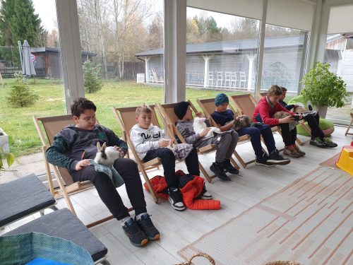 Zajęcia edukacyjne ze zwierzętami.