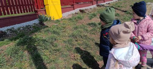 2024/2025 W poszukiwaniu wiosny