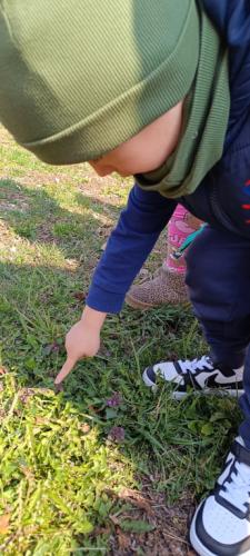 2024/2025 W poszukiwaniu wiosny