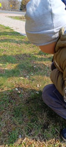 2024/2025 W poszukiwaniu wiosny