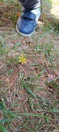 2024/2025 W poszukiwaniu wiosny