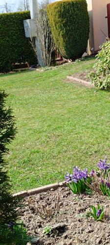 2024/2025 W poszukiwaniu wiosny