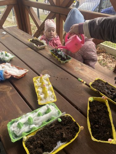 Będziemy mieć dużo rzeżuchy