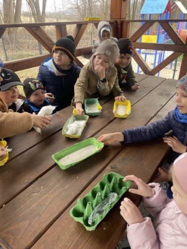 Chłopcy czekają na nasiona