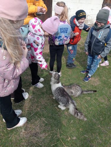 Maja z grupy Świętokrzyskie Nutki karmi kotka 