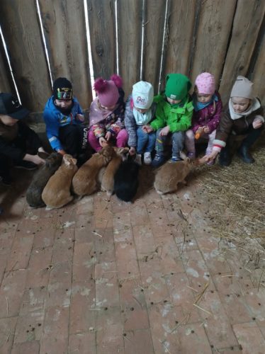 dzieci z grupy Biedronki karmią króliki 