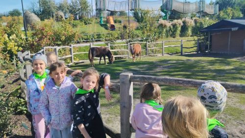 Z wizyta u zwierząt