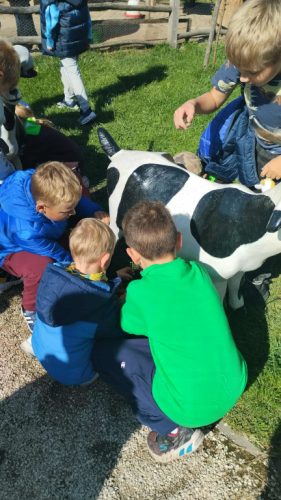 Zabawy w Parku Akademia Bajki