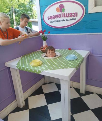 Głowa na talerzu - iluzja