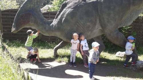 Wycieczka do Bałtowskiego Kompleksu Turystycznego