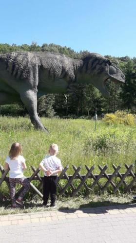 Wycieczka do Bałtowskiego Kompleksu Turystycznego