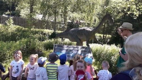 Wycieczka do Bałtowskiego Kompleksu Turystycznego