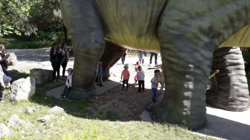 Wycieczka do Bałtowskiego Kompleksu Turystycznego