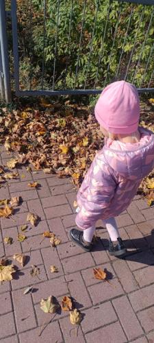 2024/2025 Jesienna Grafomotoryka