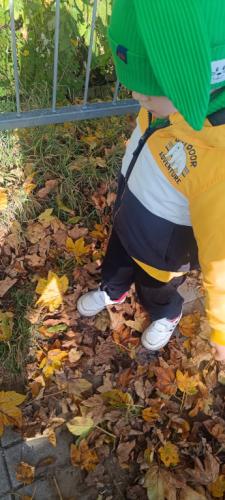 2024/2025 Jesienna Grafomotoryka