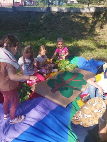 2023/2024 Klasa w Terenie